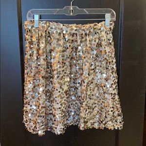 Sequin Skirt
